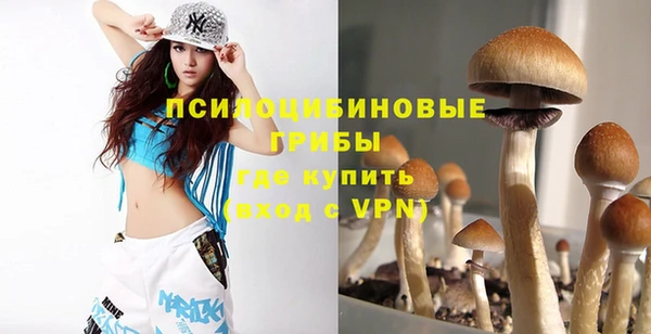 индика Аркадак