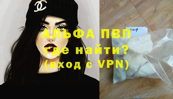 индика Аркадак