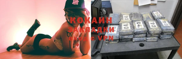индика Аркадак