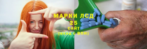 индика Аркадак