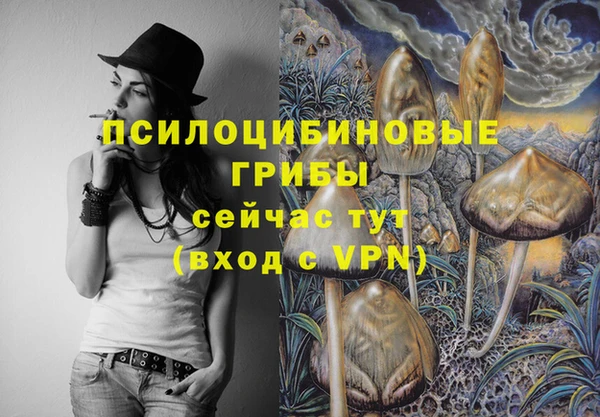 стафф Армянск