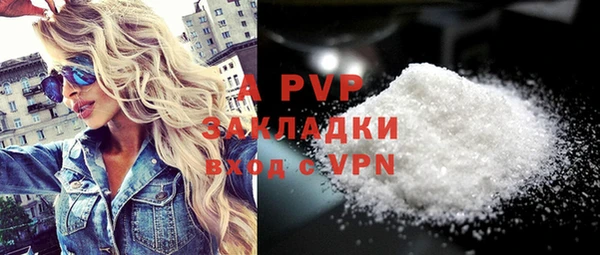 индика Аркадак