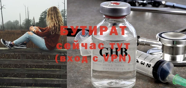 индика Аркадак