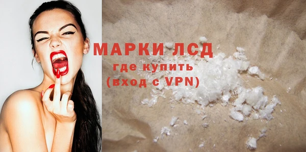 индика Аркадак