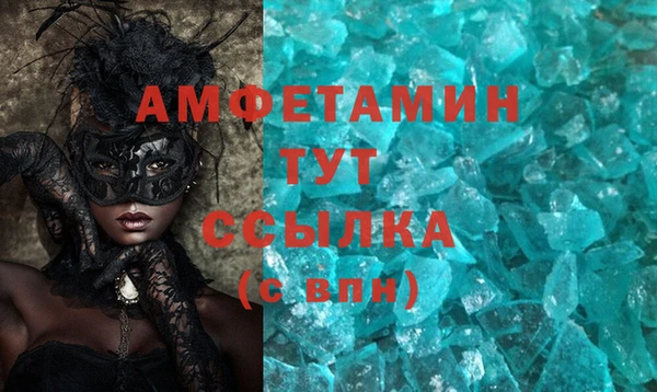индика Аркадак