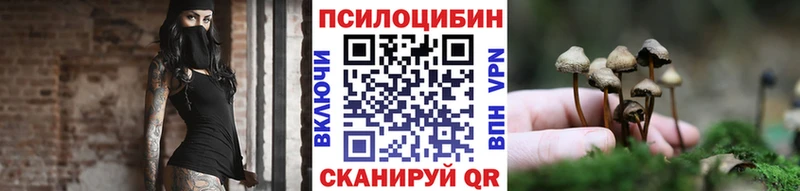 наркота  Советск  Галлюциногенные грибы GOLDEN TEACHER 